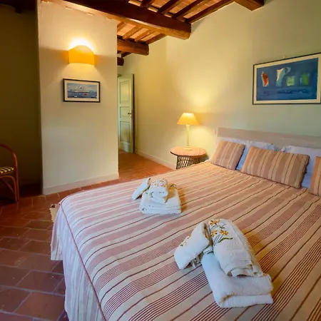 Rustico Tra Pisa, Lucca E Firenze Apartament Massa e Cozzile