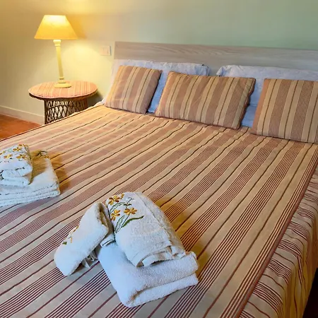 Apartament Rustico Tra Pisa, Lucca E Firenze *